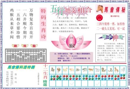 马会财经B
