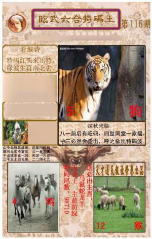 临武六合特码王