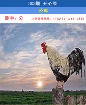开心果