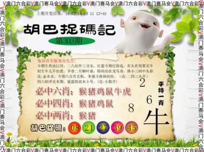 胡巴抓码记