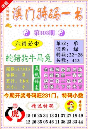 澳门特码一书
