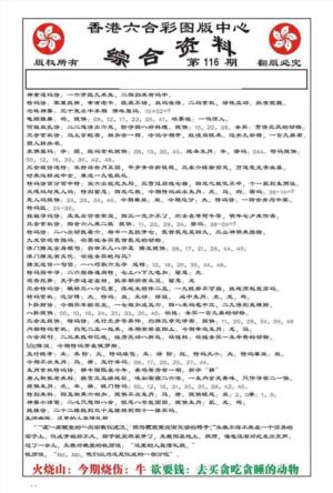 内部综合资料(特准)