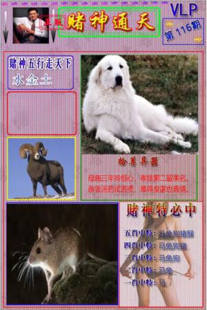 赌神通天报