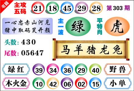 澳门主攻五码