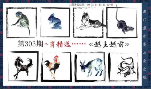 八肖精选