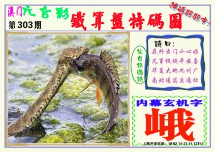 铁算盘特码图