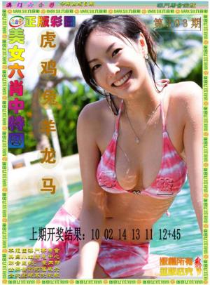 美女六肖中特图