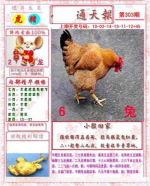 马经通天报