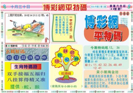 博彩网平特报