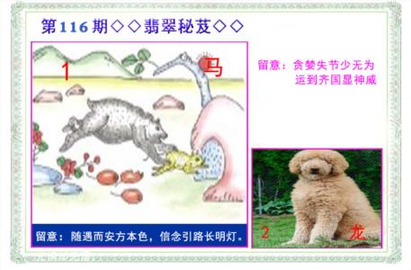 翡翠报