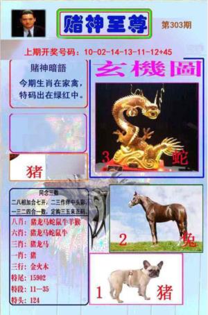 赌神至尊