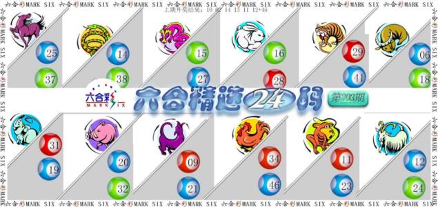 六合精选24码