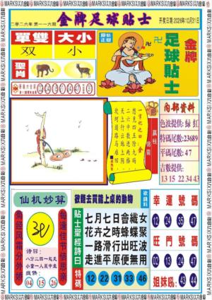 金牌足球贴士记录