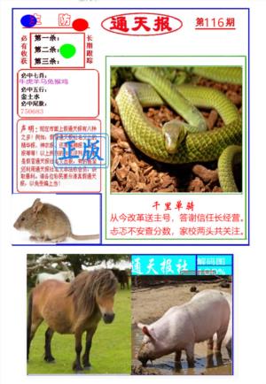 通天杀波图1