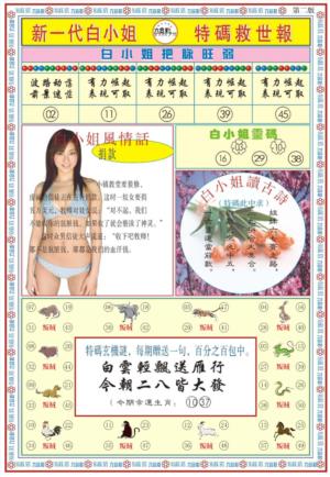 白小姐新一代B