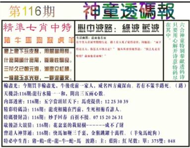 神童透码报(正版)