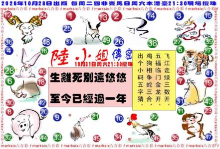 陆小姐传密B