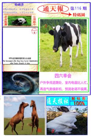 通天特解图