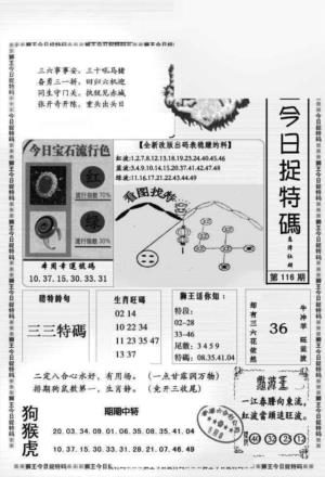 狮王今日抓特码