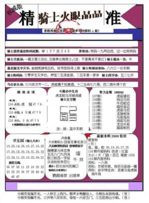 骑士火眼晶晶（正）
