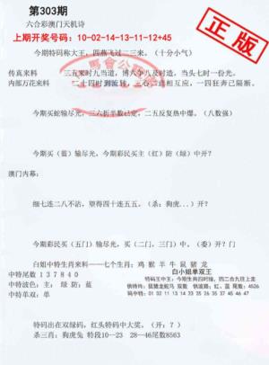 深圳特区报B