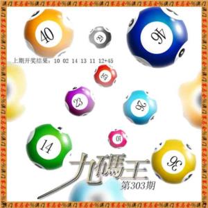 九码王