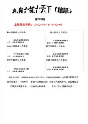 九肖红天下精版