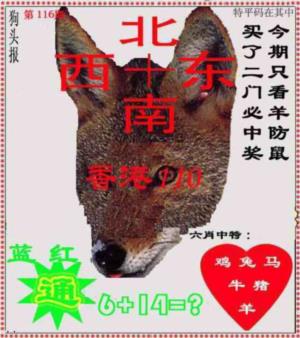 狗头报