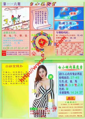 白小姐波霸