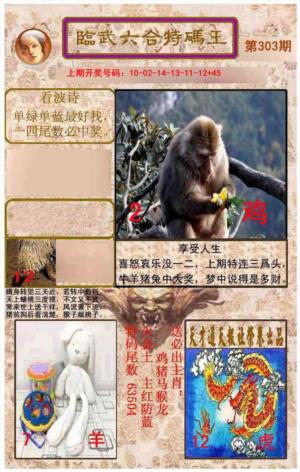 临武六合特码王