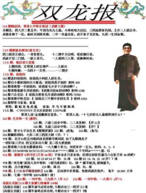双龙报