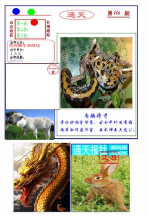 通天杀波图2
