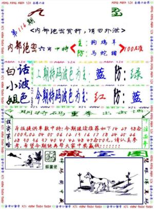 九龙密报