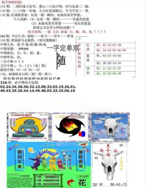 狗不理特码报