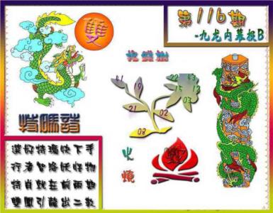 九龙内幕特肖图a