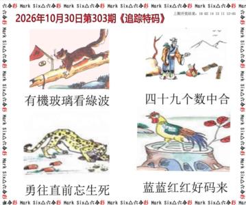 追踪特码