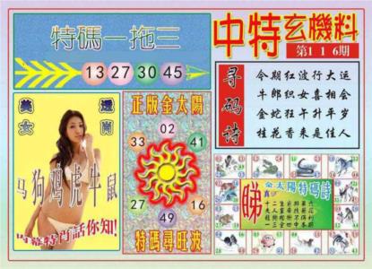 中特玄机料