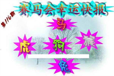 赛马会幸运快报