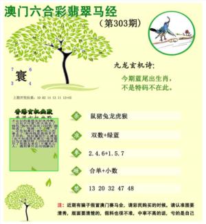 翡翠马经