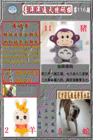 洋通报
