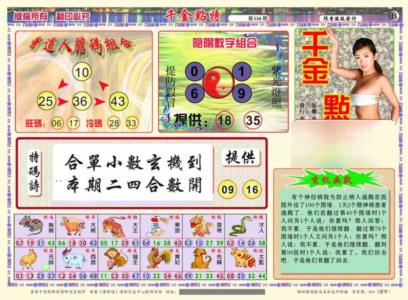 千金点特B(正版)