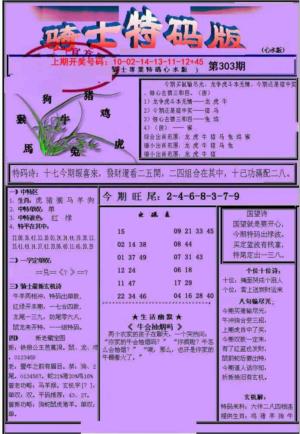 骑士特码版