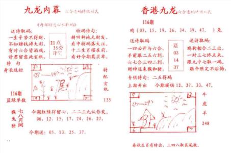 九龙内幕