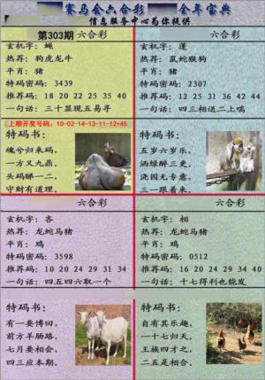 宝典报