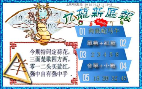 九龙新区报