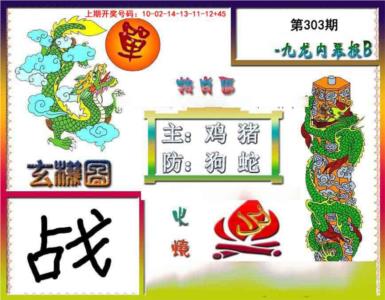 九龙内幕特肖图B