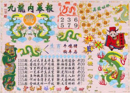 九龙内幕报