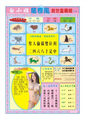白小姐龙卷风B