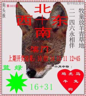 狗头报
