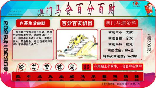 百分百财经